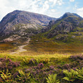 The Buachaille in Glencoe Scottish Highlands